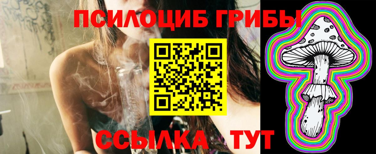 Галлюциногенные грибы Psilocybine cubensis  Вход с VPN  Амурск 